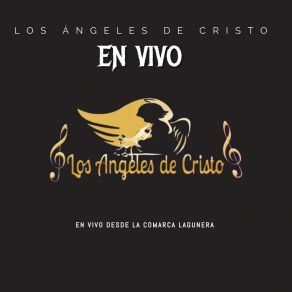 Download track El Nuevo Ritmo (En Vivo) Los Ángeles De Cristo Oficial