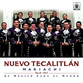 Download track Mi Dulce Señor (Instrumental) Mariachi Nuevo TecalitlanΟΡΓΑΝΙΚΟ