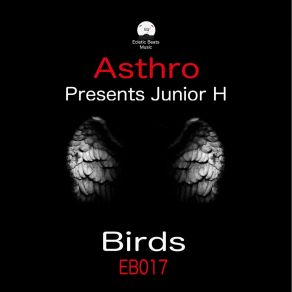 Download track Birds Junior HAsthro