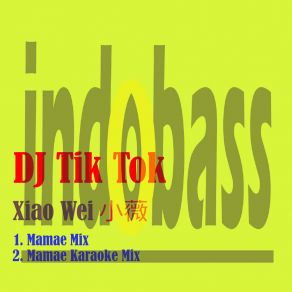 Download track Xiao Wei 小薇 (Mamae Karaoke Mix) DJ Tik TokMamae