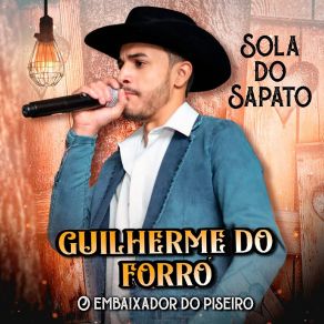 Download track Bode Vei Guilherme Do Forro 