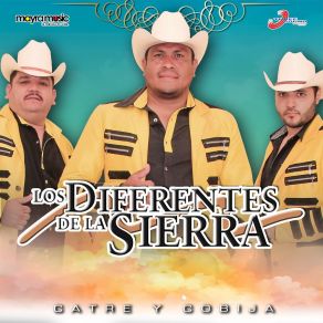 Download track La Party Los Diferentes De La Sierra