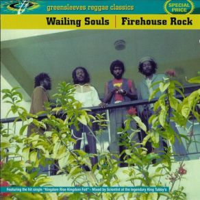 Download track A Fool Will Fall The Wailing Souls