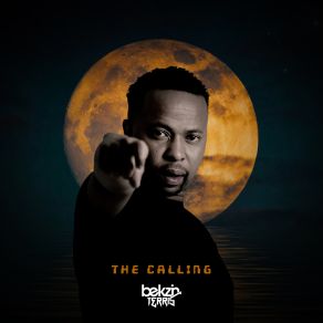 Download track The Calling (Vocal Mix) Bekzin Terris