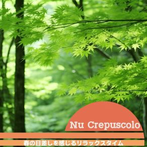 Download track Quiet Growth Under Stars Nu Crepuscolo