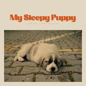 Download track Shore's Initial Brushstrokes Music For Sleeping Puppies