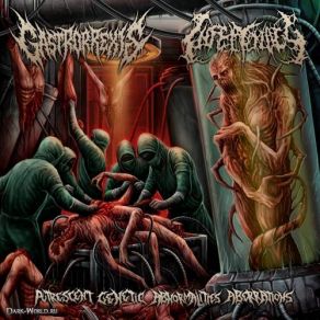 Download track Fresh Remains Immersed In Nitrogen Gastrorrexis, Infectology