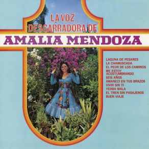 Download track La Chamuscada Amalia Mendoza