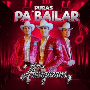 Download track Las Pasiones Los Amigueros De La Sierra