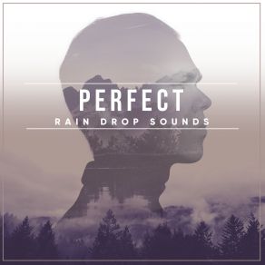 Download track Rain Sounds - Chill Out Nature Noise