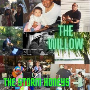 Download track The Willow The Storm Honeys