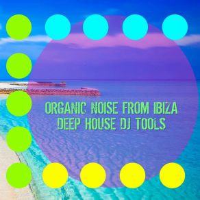 Download track Santa Amapola (DJ Tool) Organic Noise From IbizaDJ Tool