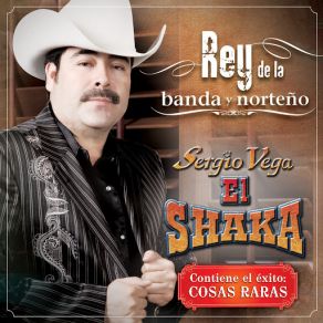 Download track Tierra En Los Ojos (Version Banda) Sergio Vega El Shaka