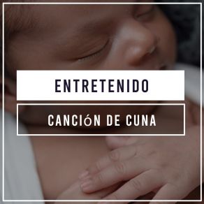 Download track Canción De Cuna Para Baby Bay White Noise AmbienceRelax Ambience