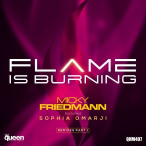 Download track Flame Is Burning (Herbert Tonn & Diego Santander Club Mix) Sophia OmarjiDiego Santander, Herbert Tonn