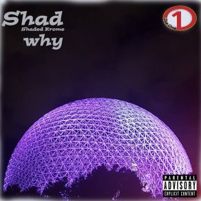 Download track Fell In Love (Reggae) Shad Shaded Krome