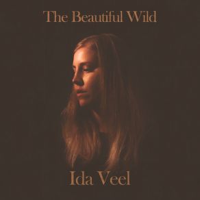 Download track I'd Like To See You Again Ida Veel