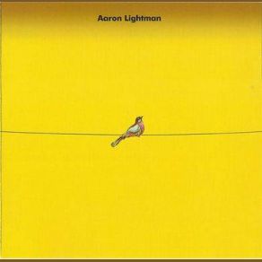 Download track Out Of The Morning Aaron Lightman