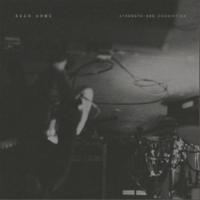 Download track Courage Bear Arms