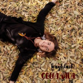 Download track L'heroi De Les Petites Coses Cèlia Vila