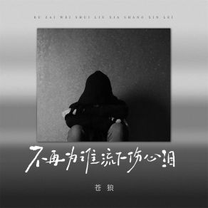 Download track 不再为谁流下伤心泪 (Dj舞曲版) 苍狼Ben A