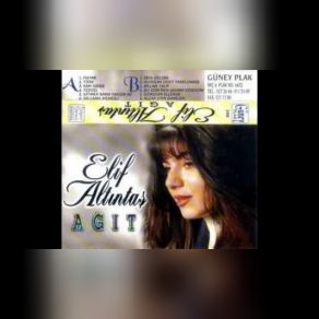 Download track Alçak Evin Damları Elif Altıntaş