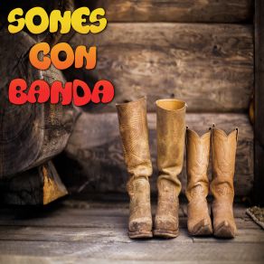 Download track Son Estrellas De Morelos Sones