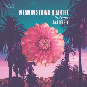 Download track Brooklyn Baby The Vitamin String Quartet