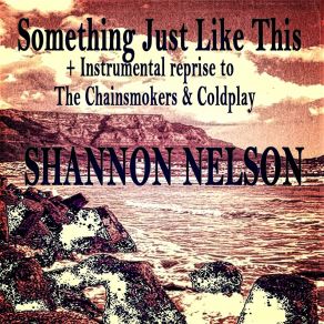 Download track Something Just Like This Shannon Nelson