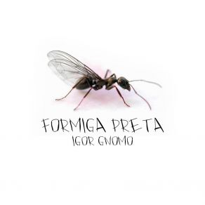 Download track Formiga Preta Igor Gnomo