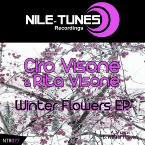 Download track Sharps (Original Mix) Ciro Visone & Rita Visone, Progrekt