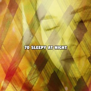 Download track Slumbering Nights Nature Sounds