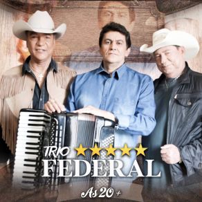 Download track De Carona Com A Saudade Trio Federal