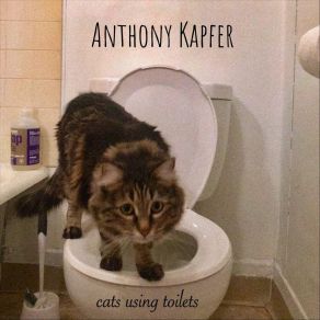 Download track The Revolution Will Be Ignored Anthony Kapfer