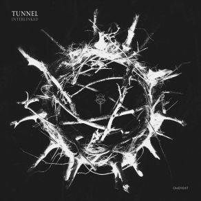 Download track Intuition Collapse (P. T. B. S. Remix) The TunnelP. T. B. S