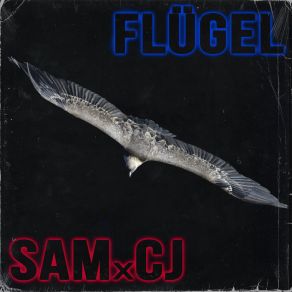 Download track Flügel Cj Beats