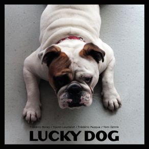 Download track Interferences Lucky Dog