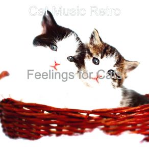 Download track Stylish Backdrops For Relaxing Your Cat Cat Music Retro