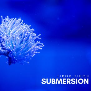 Download track Far Beneath The Surface Tibor Tihon