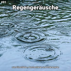 Download track Regengeräusche, Pt. 62 Matties Nehl