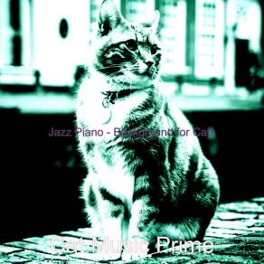 Download track Classic Music For Resting Cats Cat Music Prime