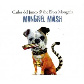 Download track A Fool'S Alibi Carlos Del Junco And The Blues Mongrels