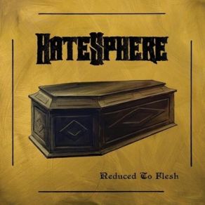 Download track Nothing Is Definite HateSphere