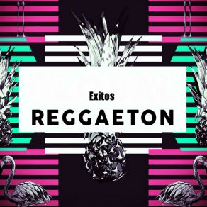 Download track Amor Foda Reggaeton Acustic