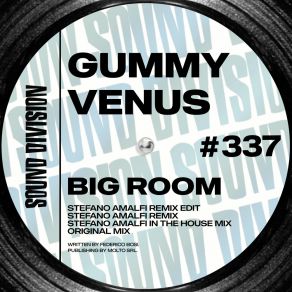 Download track Big Room (Stefano Amalfi Remix) Gummy VenusStefano Amalfi