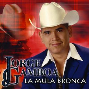 Download track La Mancha Jorge Gamboa