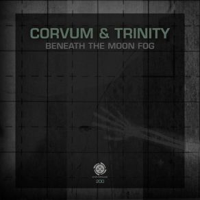 Download track Beneath The Moon Fog (Corvum Version) Trinity (AU)