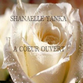 Download track Comme Toi Shanaelle Yanka