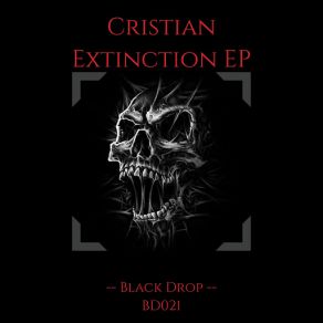 Download track La Ultima Princesa Del Lado Oscuro (Original Mix) Cristian