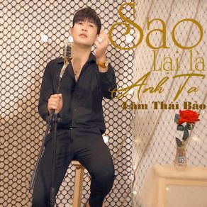 Download track Sao Lại Là Anh Ta Lâm Thái Bảo